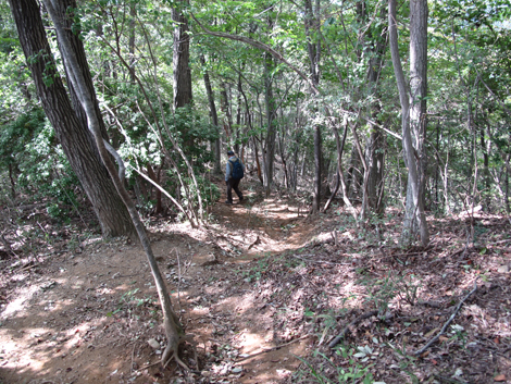 20151006hike (268)